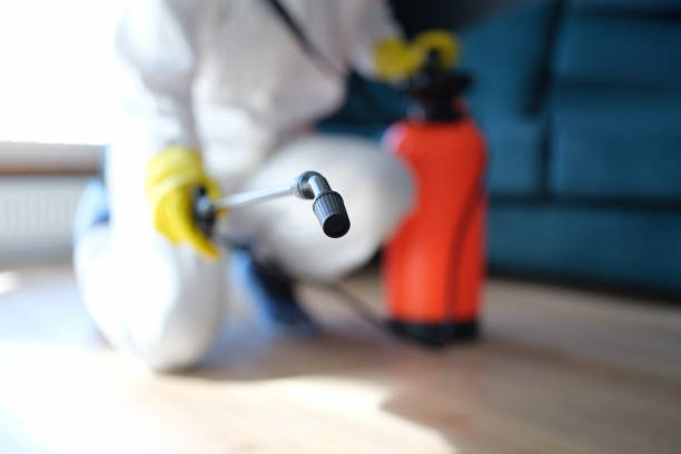 Best Crawl Space Mold Remediation  in Granger, IA