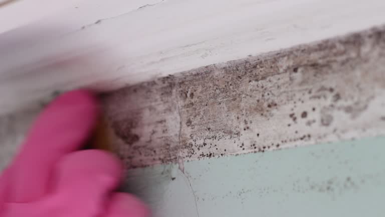 Dehumidification Services in Granger, IA